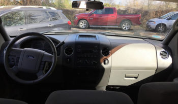 2006 Ford F-150 plein