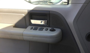 2006 Ford F-150 plein