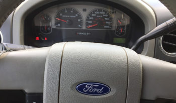 2006 Ford F-150 plein